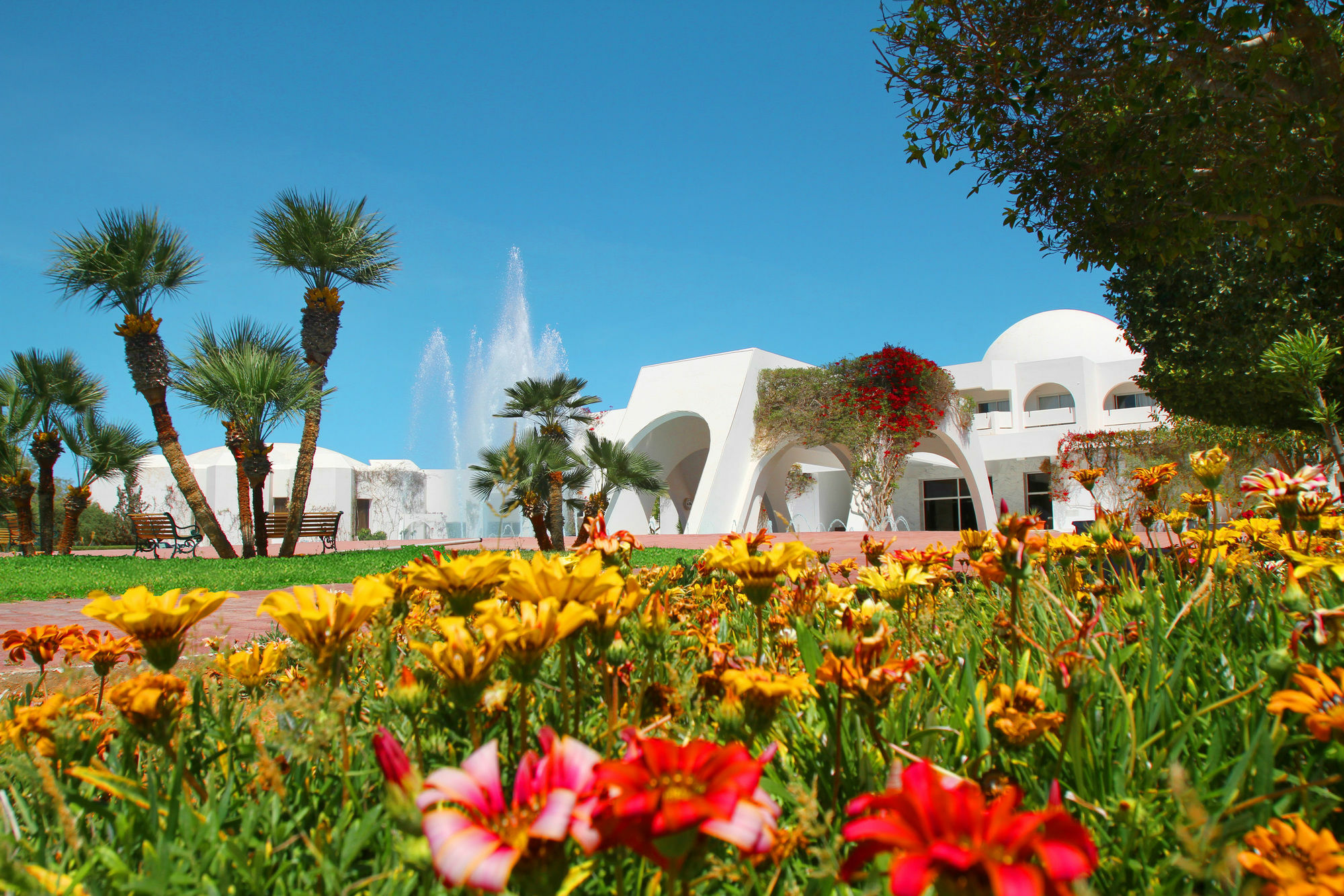 Djerba Plaza Thalasso & Spa Triffa Εξωτερικό φωτογραφία
